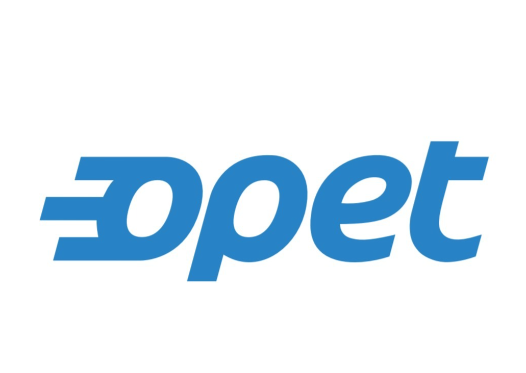 BİDEV - Basketbol için Destek ve Eğitim Vakfı Görsel